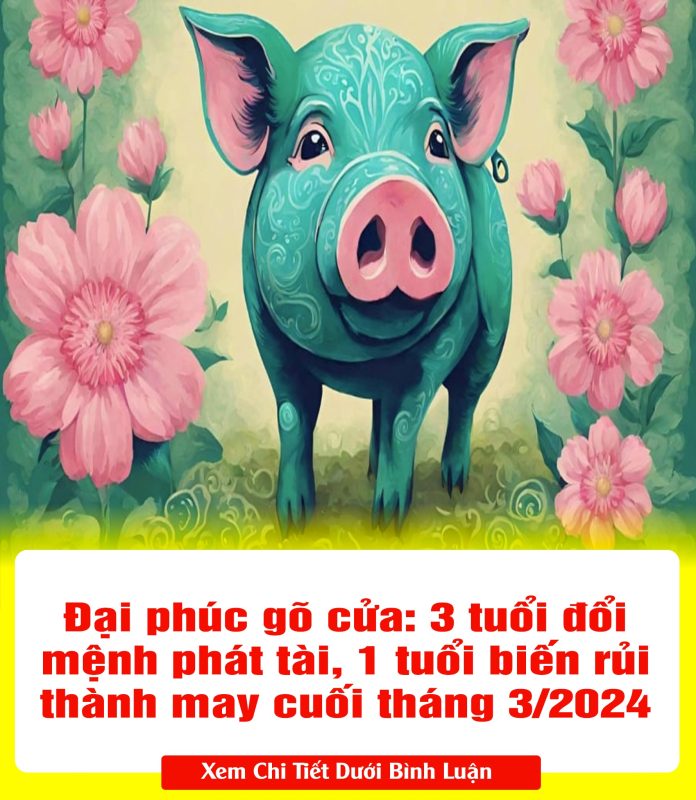 428692361_808932247949584_340165