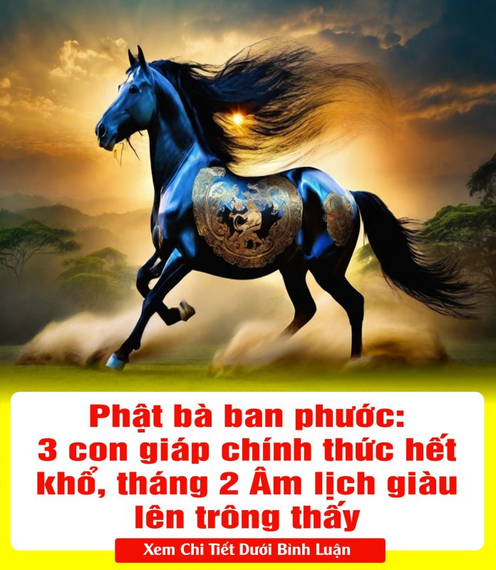 428701400_809040037938805_757398