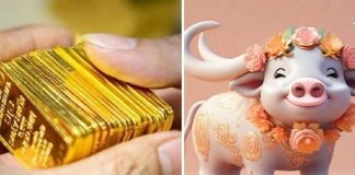 Từ ngày mai: 3 tuổi vơ hết Lộc Trời giàu số 2 không ai là số 1: Đặc biệt con giáp thứ 3