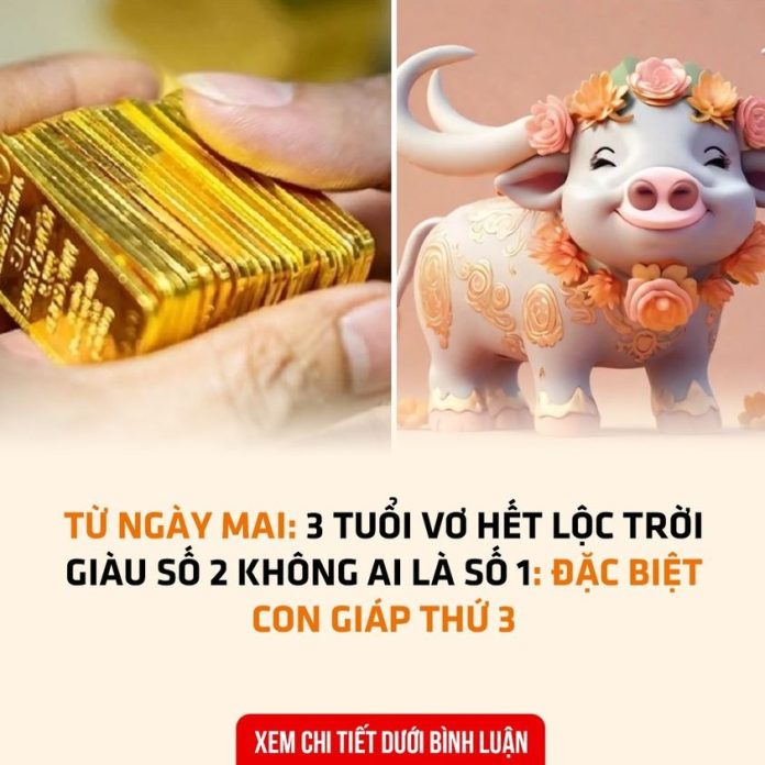 428705598_808551604654315_341833 (1)