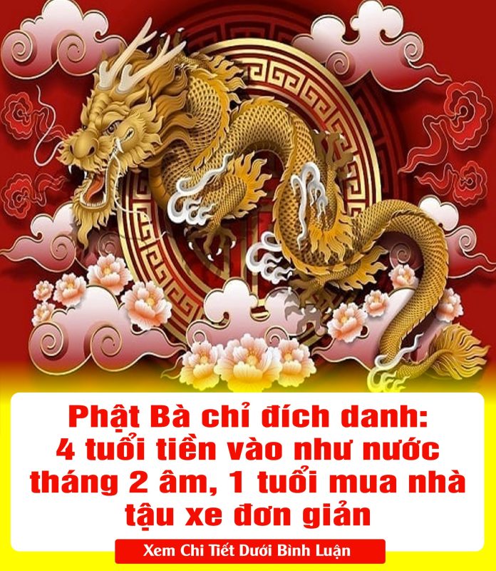 428709140_808936757949133_286555