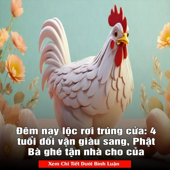 428710182_810226357820173_272569