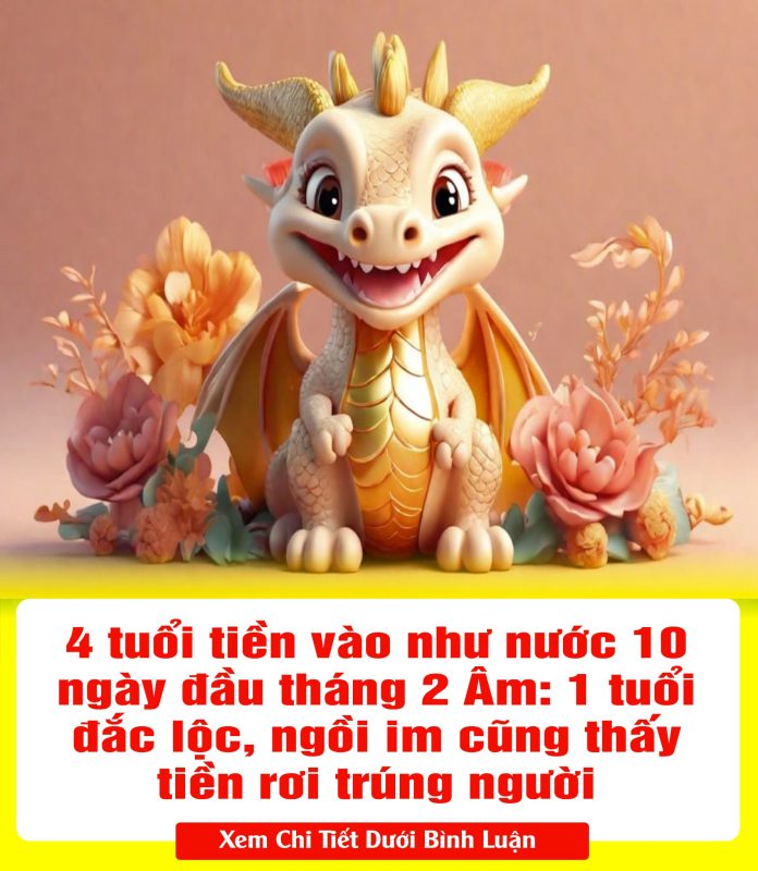 428712991_808936347949174_684813