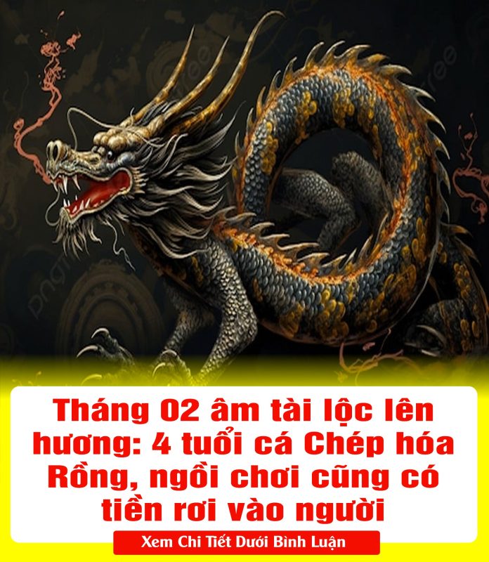 429578870_809050067937802_877004