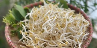 Giá đỗ có tác dụng gì?