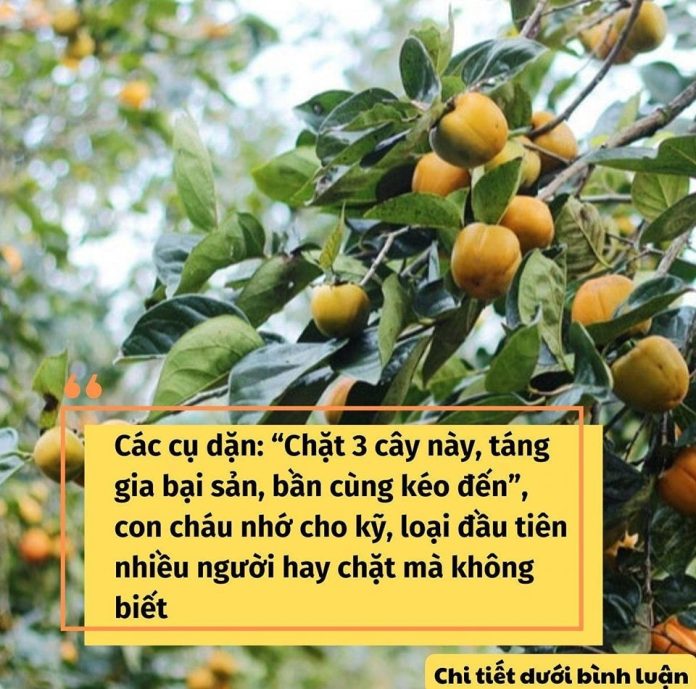 429965894_387391540705939_710156