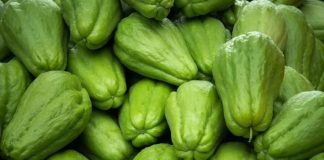 10 lợi ích ấn tượng của quả su su