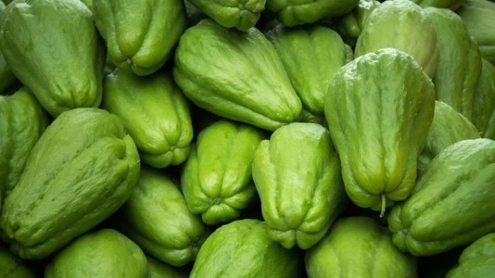 430107438_122127909350177881_447