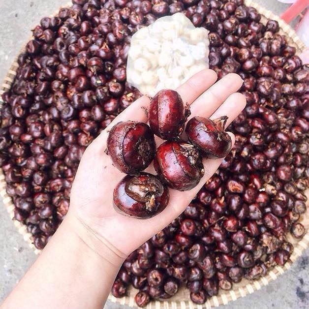 430992423_122127229532177881_412