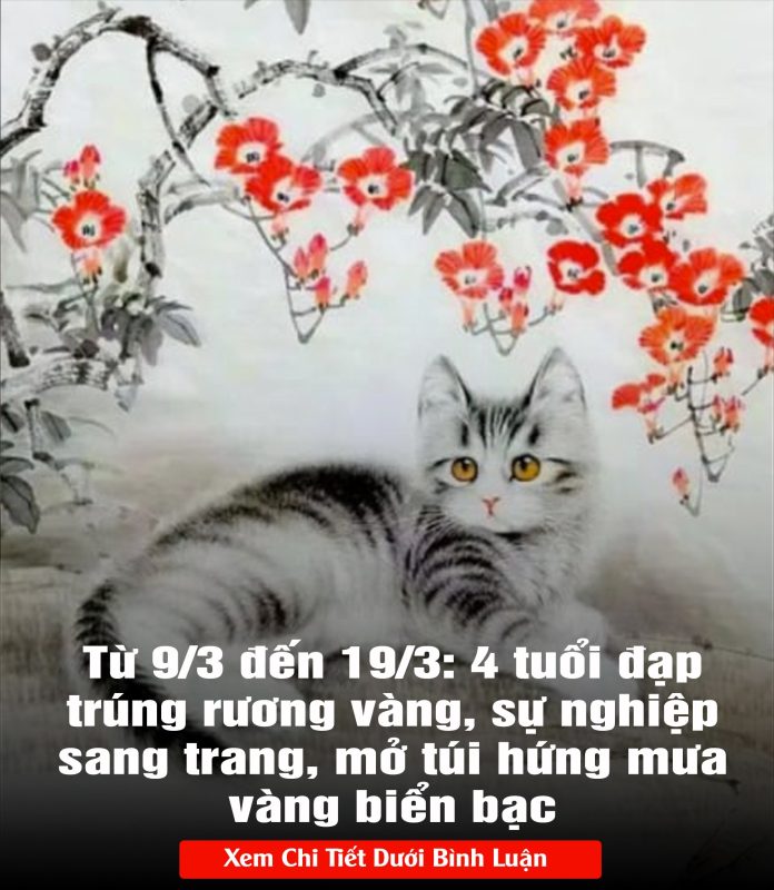 431314811_809473214562154_624080