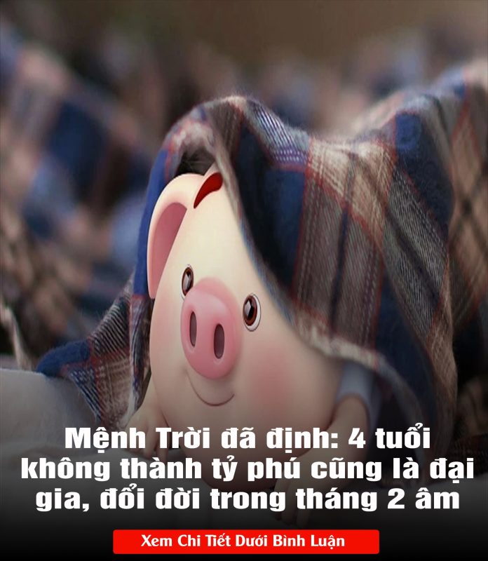 431317814_809472897895519_776250