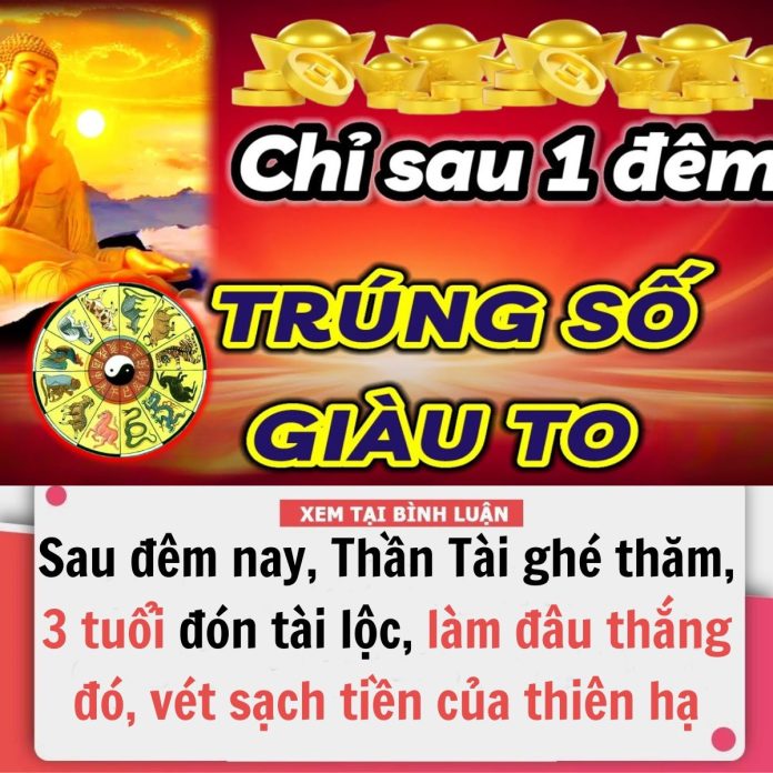 431736432_809954587847350_660983