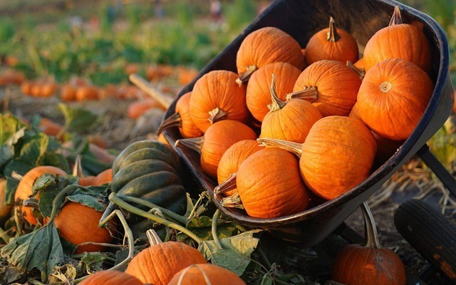 431879383_122128287608177881_806