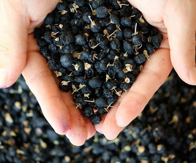 432580538_122105724398237477_176