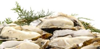 Hàu siêu bổ lại nhiều dinh dưỡng nhưng rất khó tách vỏ: Chỉ cần làm theo cách này, chạm nhẹ hàu tự ‘mở cửa’ không cần tốn nhiều công sức