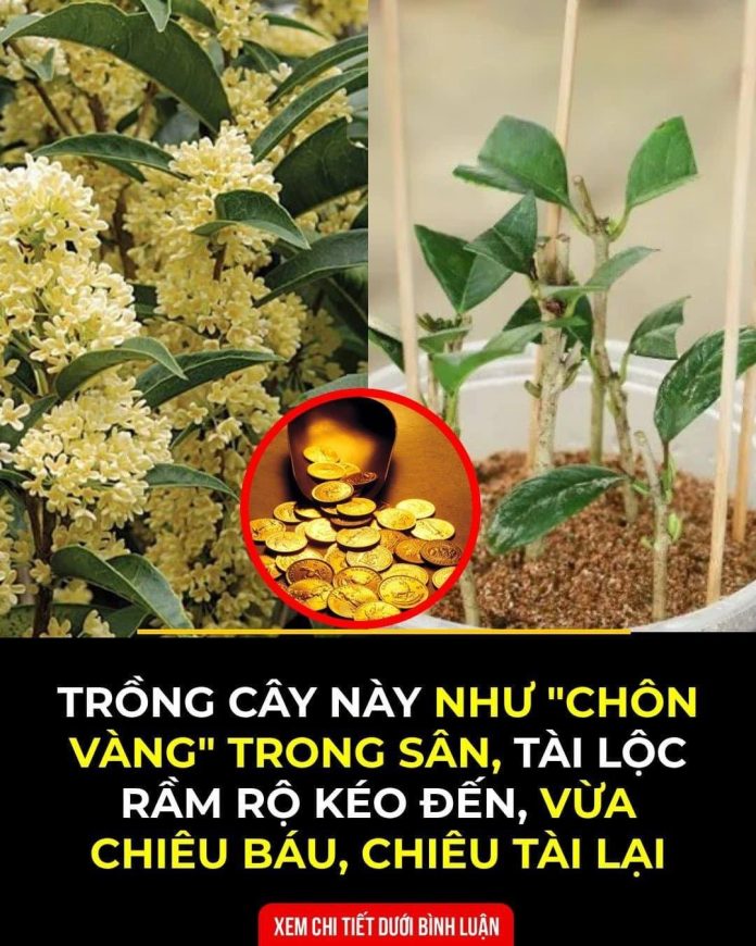 432744169_395087299936363_809907