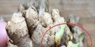 Người bán rau có ‘ế’ cũng không ăn loại rau này, đi chợ nếu gặp dù được mời chào giá rẻ đến đâu cũng đừng d:.ại mà mua