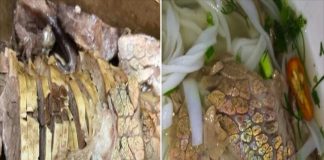 Miếng thịt ánh lên màu cầu vồng là thịt nh:.iễm b:.ẩn, kém chất lượng hay là thịt đại bổ, may lắm mới mua được?