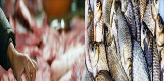 Đi chợ nhớ ‘thịt lợn không mua thịt cổ, mua cá không mua cá diếc”, mua 2 thứ đó thì sao?