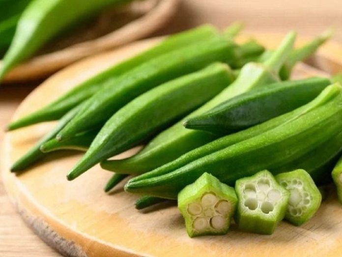 434254183_122117916908237477_374