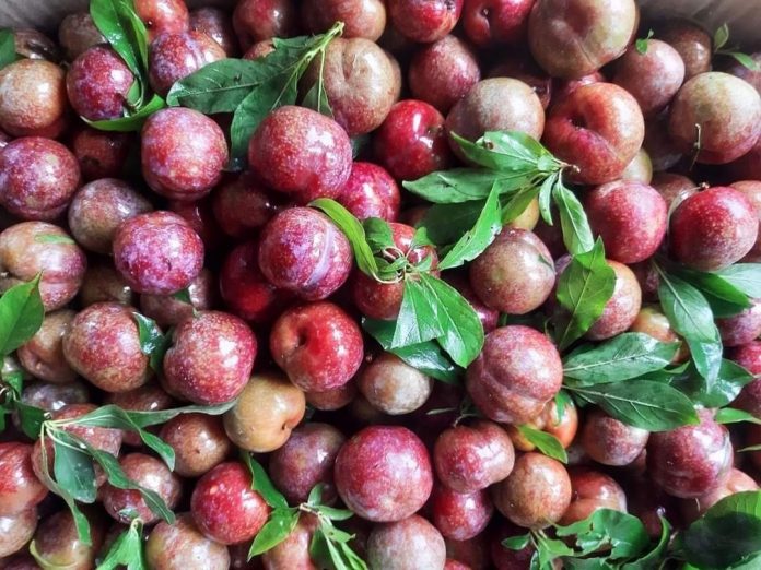 669EF052-AB2E-4447-8