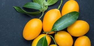 10+ tác dụng của quả thanh trà đối với sức khỏe