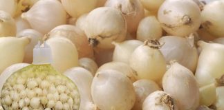 Hành tăm, gia vị tốt sức khỏe và làm được nhiều món ngon