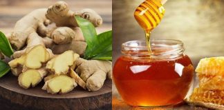 Công dụng của gừng