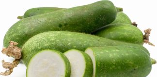 Quả bí đao: thành phần dinh dưỡng và lợi ích sức khỏe nhiều người chưa biết