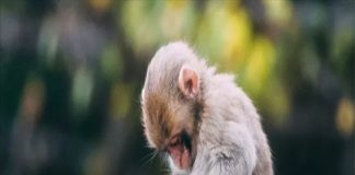 Thần Tài chỉ mặt ghi danh sổ Vàng: 3 tuổi đời sang trang mới giàu như vũ bão, đếm tiền mỏi tay