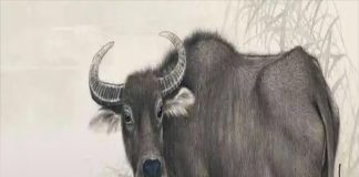 Từ ngày mai: Trời ban lộc lớn, 3 tuổi hết Tam Tai chẳng cần bon chen tiền vẫn vào như nước, đắc tài