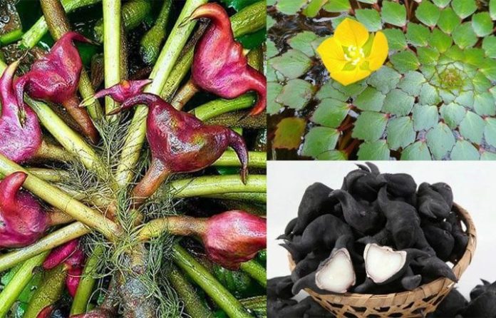 Untitled-1_b4a1913264