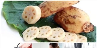 11 lợi ích bất ngờ của củ sen