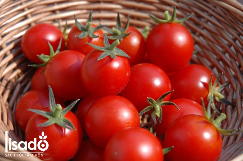Cà chua cherry tròn đỏ
