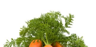 14 tác dụng bất ngờ của cà rốt với sức khỏe và những điều cần lưu ý