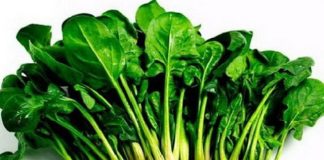 Điều gì sẽ xảy ra với cơ thể khi bạn ăn cải bó xôi đều đặn mỗi ngày?