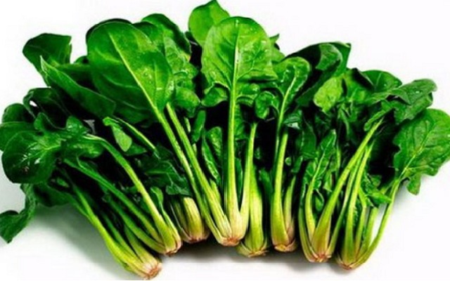 cai-bo-xoi-1510925633969