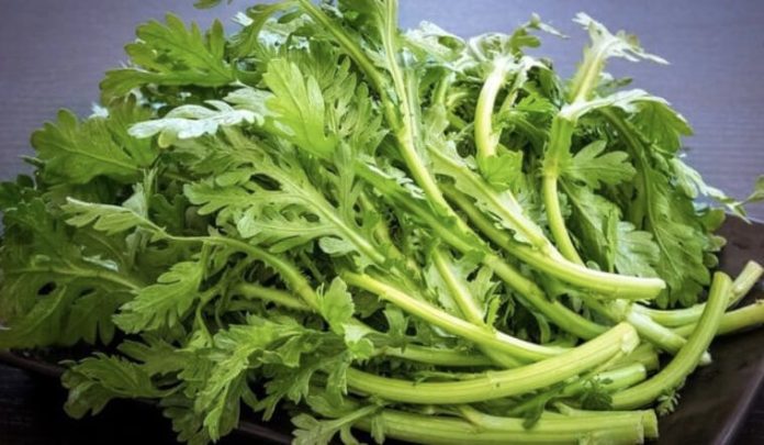 cai-cuc-la-gi-nhung-cong-dung-tu