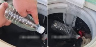 Cho 2 chai nhựa vào máy giặt cùng quần áo, lợi ích không ngờ, không phải ai cũng biết