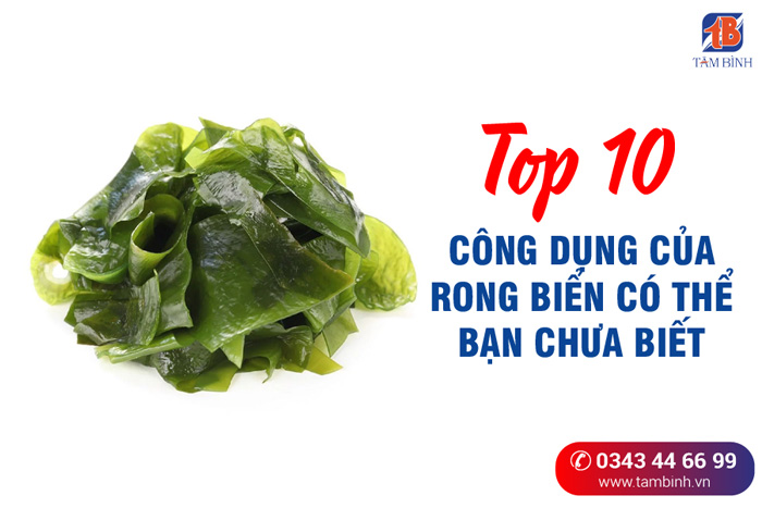 Công dụng rong biển