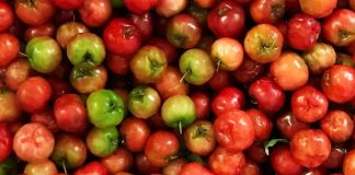 9+ tác dụng của trái sơ ri đối với sức khỏe