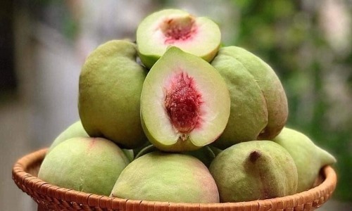 dao-mo-qua-1594199697-15941997-9