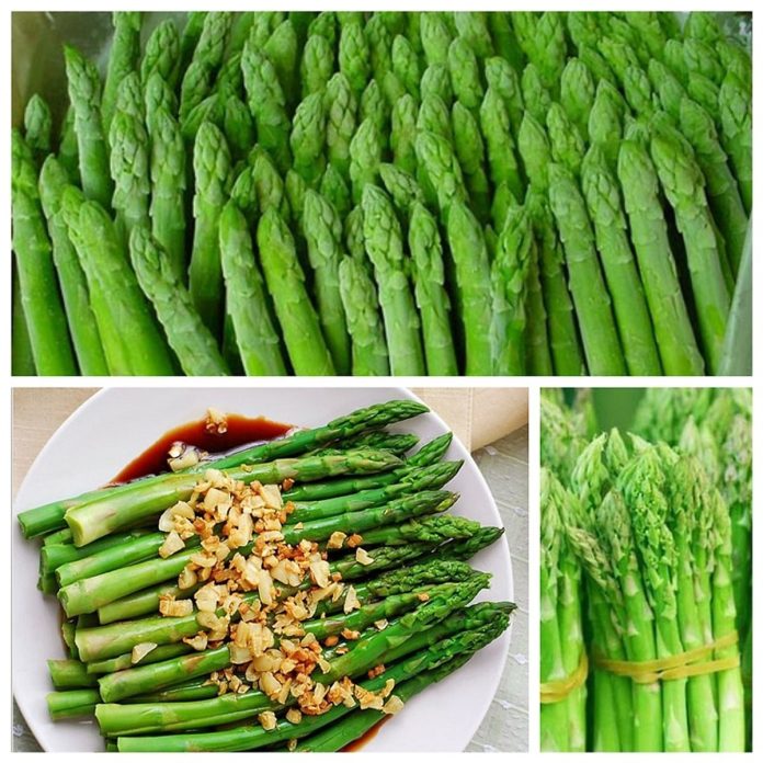 hat-giong-mang-tay-xanh-lamson1