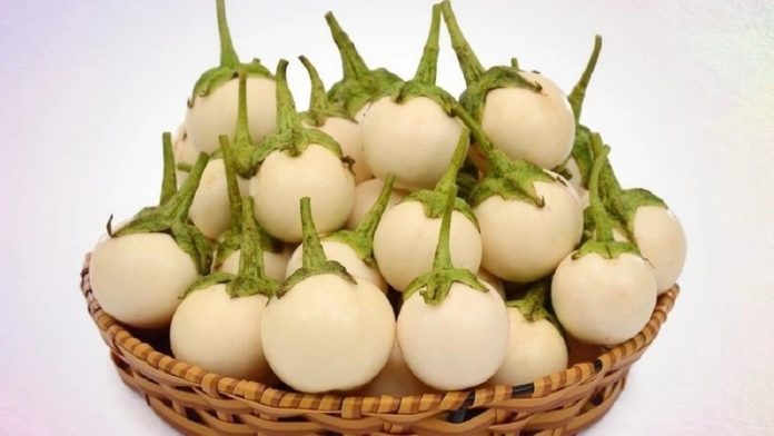 huong_dan_cach_bao_quan_ca_phao