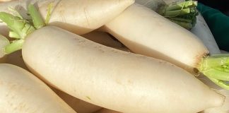 Củ cải được ví như ‘nhân sâm trắng’ nhưng đại kỵ với 3 thực phẩm quen thuộc này