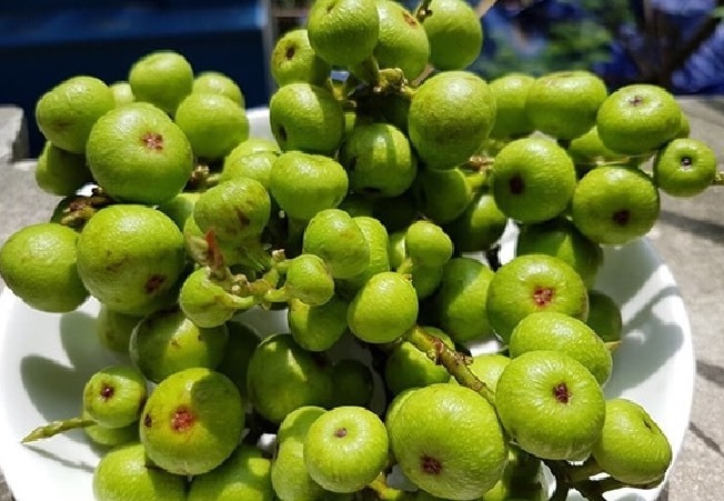 khong-chi-mang-lai-sung-tuc-ca-n