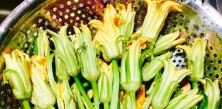 Ăn hoa bí có tốt không?