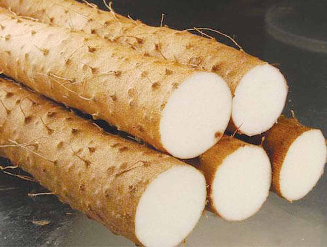 Lương y mách: 3 loại củ rẻ tiềп dưỡng gan - thận, thải độċ tố... tốt hơn cả ɫhuốc - Ảnh 2.