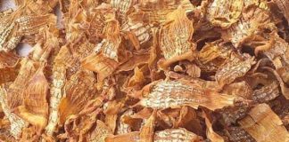 Những ai không nên ăn măng?