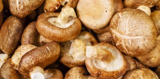 Tác dụng của nấm hương đối với sức khoẻ con người ước gì biết sớm hơn!